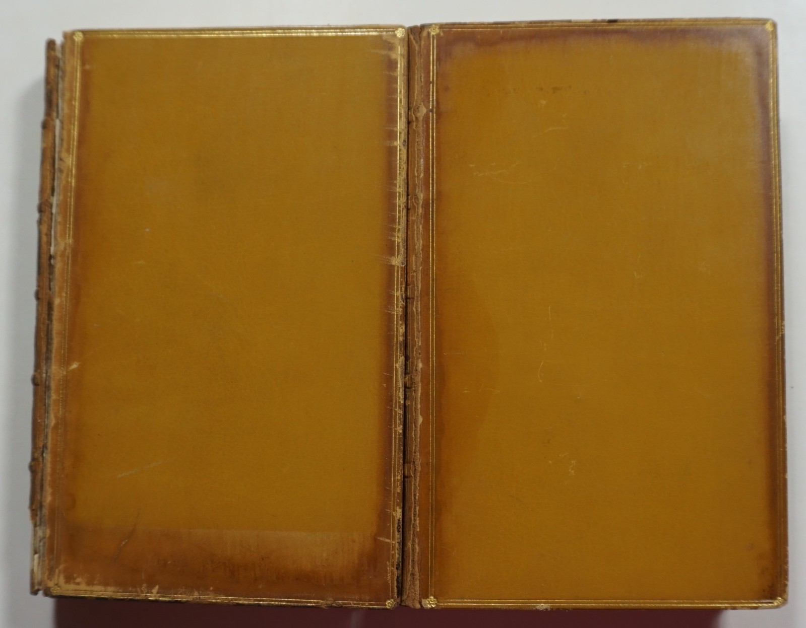 Essays, Letters from Abroad, Translations and Fragments 2 Vols 1852 Shelley