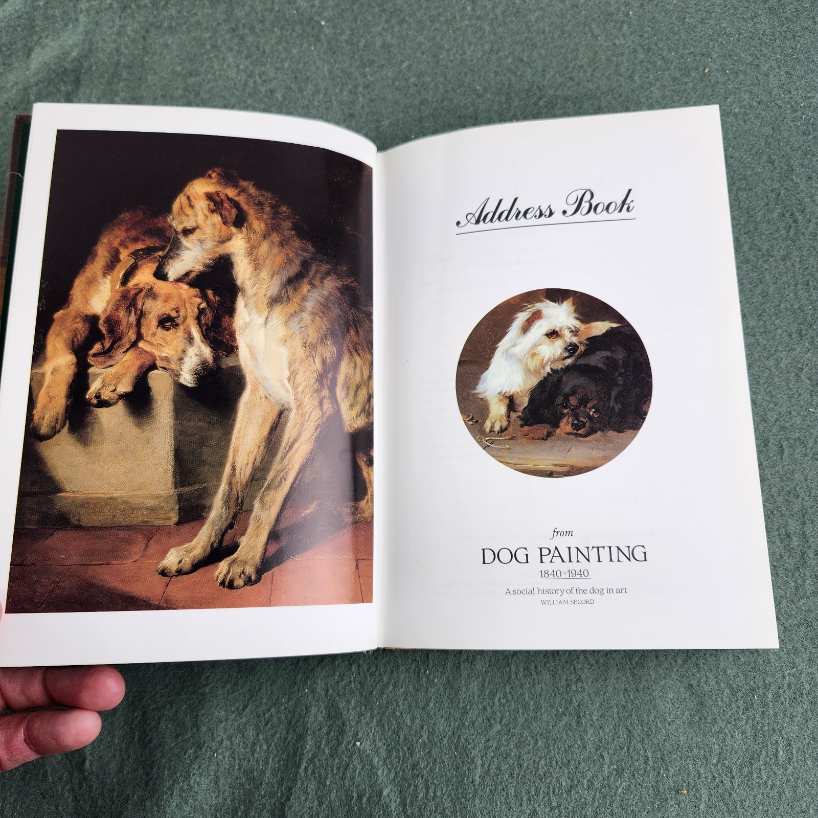 Dog Address Book : From Dog Painting, 1840-1940 Hardcover NEW