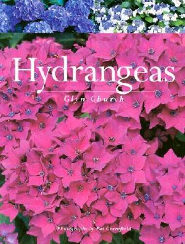 Hydrangeas – Paperback By Church, Glyn – VERY GOOD