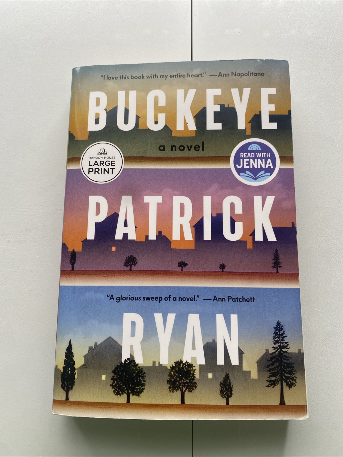 Buckeye: A Read with Jenna Pick: A Novel [Large Print] Book by Patrick Ryan PB