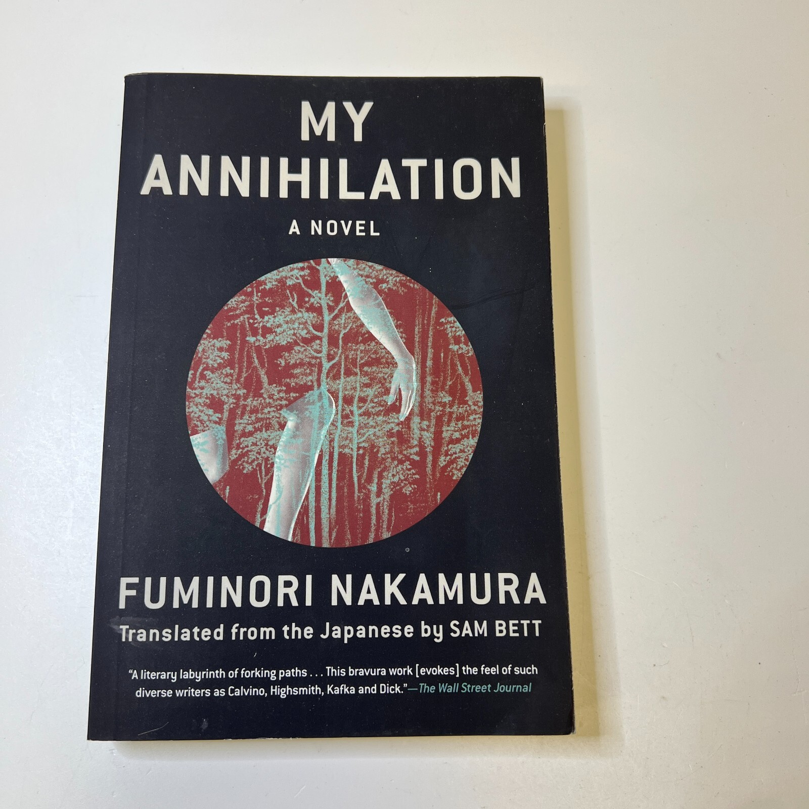 My Annihilation By Fuminori Nakamura