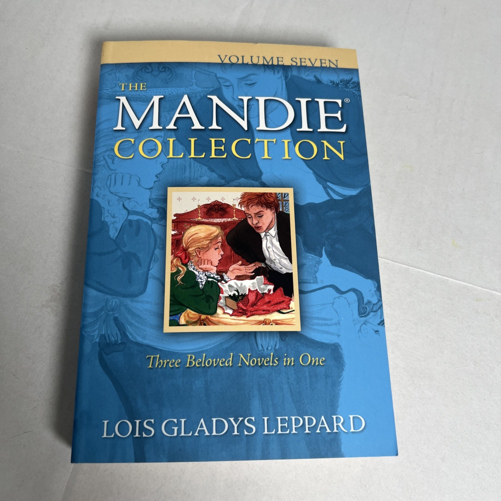 MANDIE COLLECTION COMPLETE BOOK SERIES 1-40 – Lois Gladys Leppard