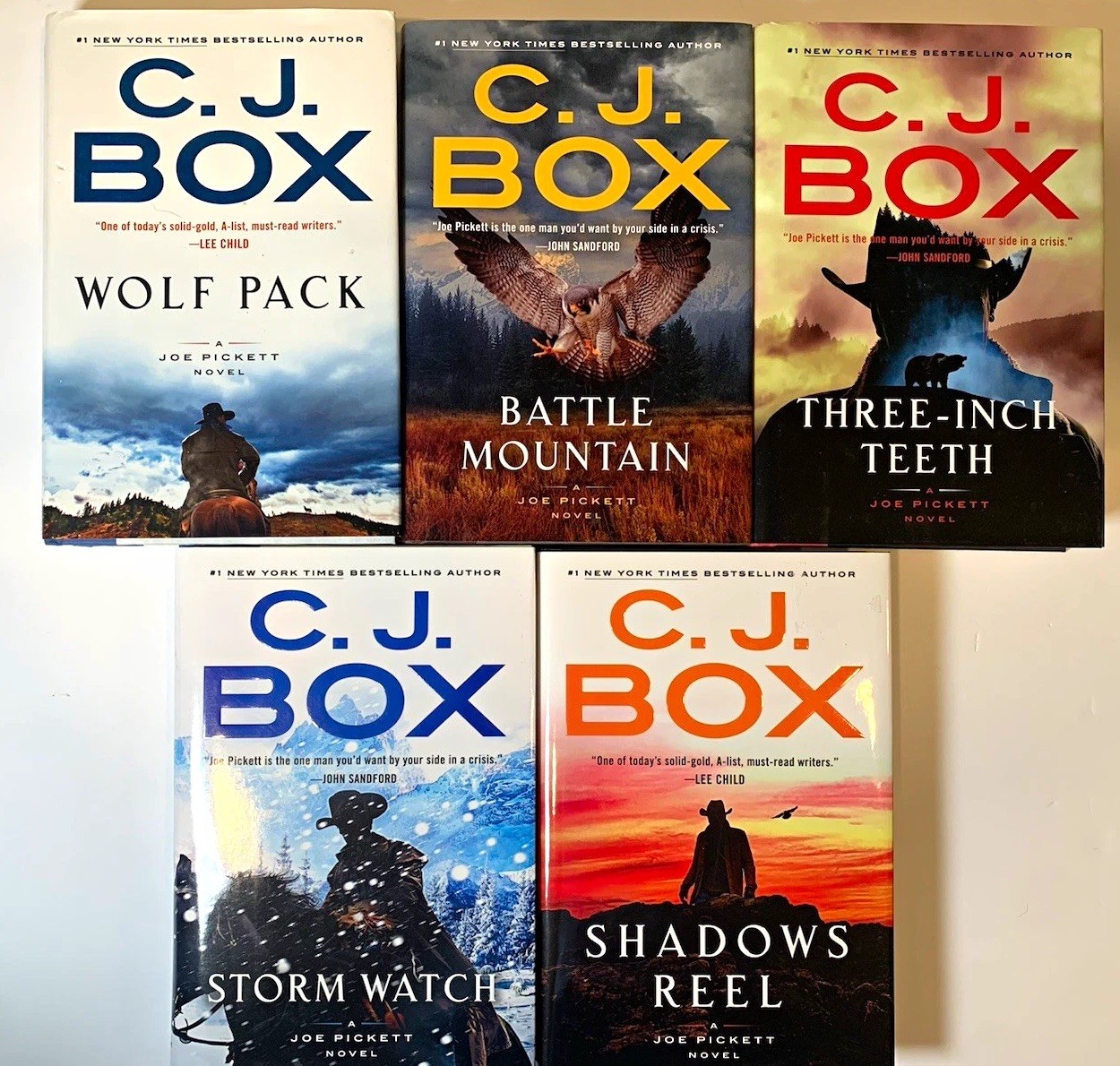 C.J. Box Hardcover Book Lot of 5 Joe Pickett Mystery Thriller Novels HC Bundle