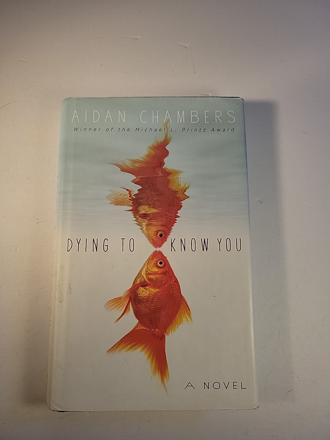 Dying to Know You by Aidan Chambers (2012, Hardcover)