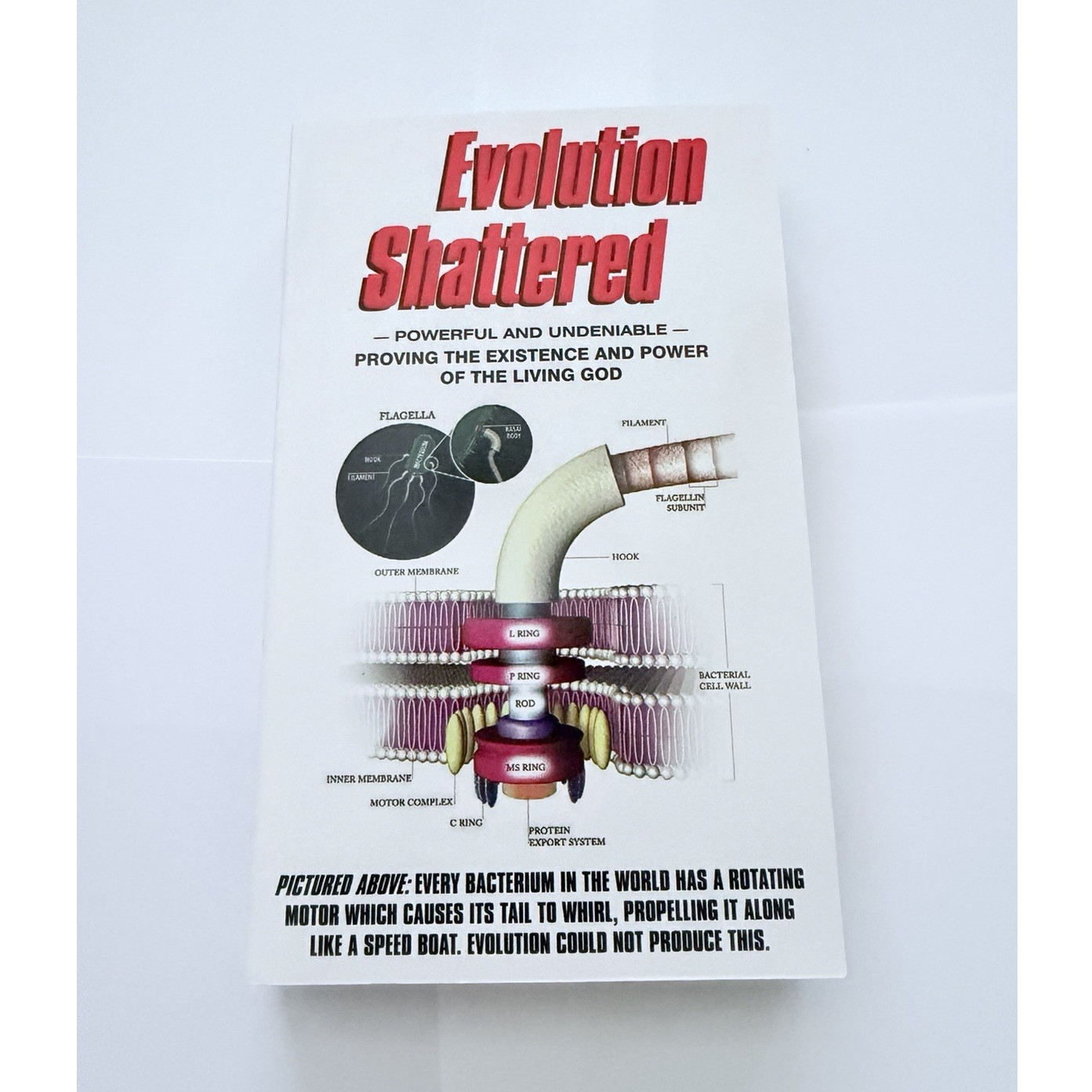 Evolution Shattered by Vance Ferrell Nonfiction Science Religion PB Color Pics