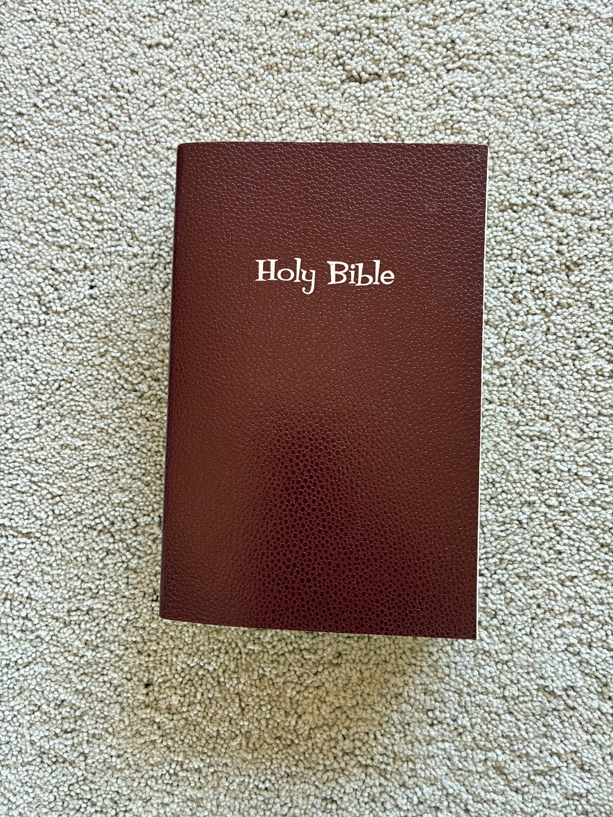 Holy Bible, NIrV maroon pliable leather-like cover, Zonderkidz, 1999, Very Good