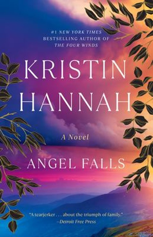 Angel Falls : A Novel Paperback Kristin Hannah