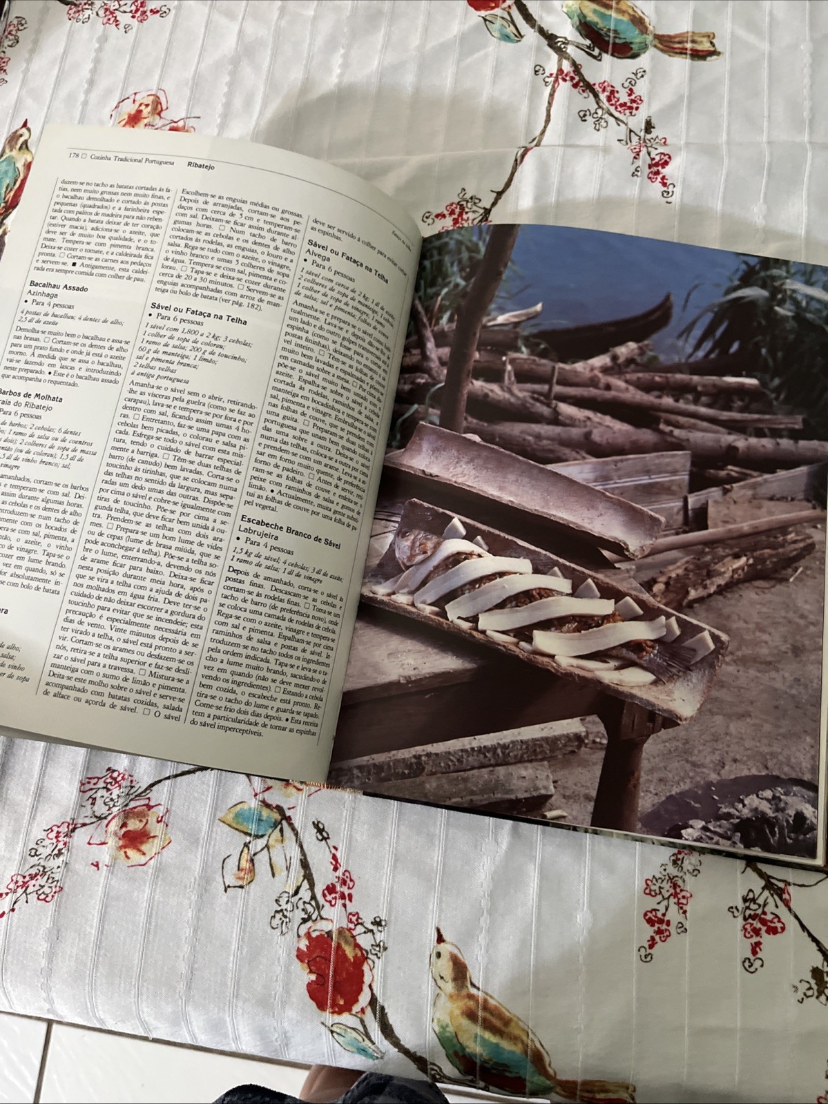 Traditional Portuguese Cooking by Maria de Lourdes Modesto – IN PORTUGUESE