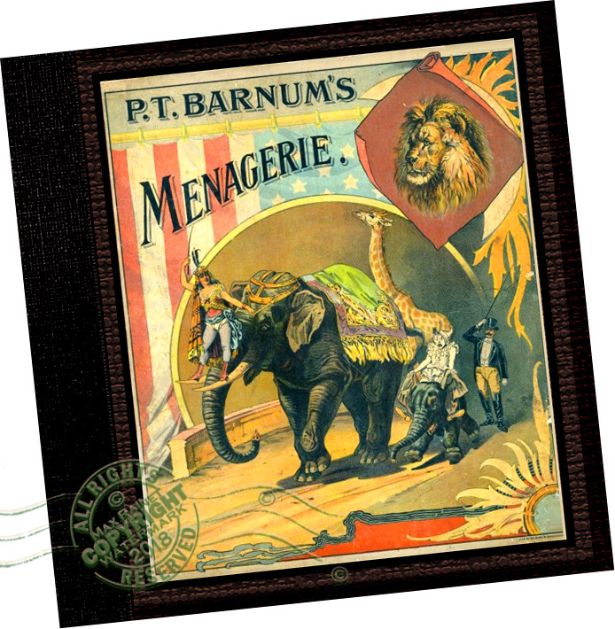 P T Barnum’s MENAGERIE (1888) Circus Animals + Performers Wildlife Habitat Lions