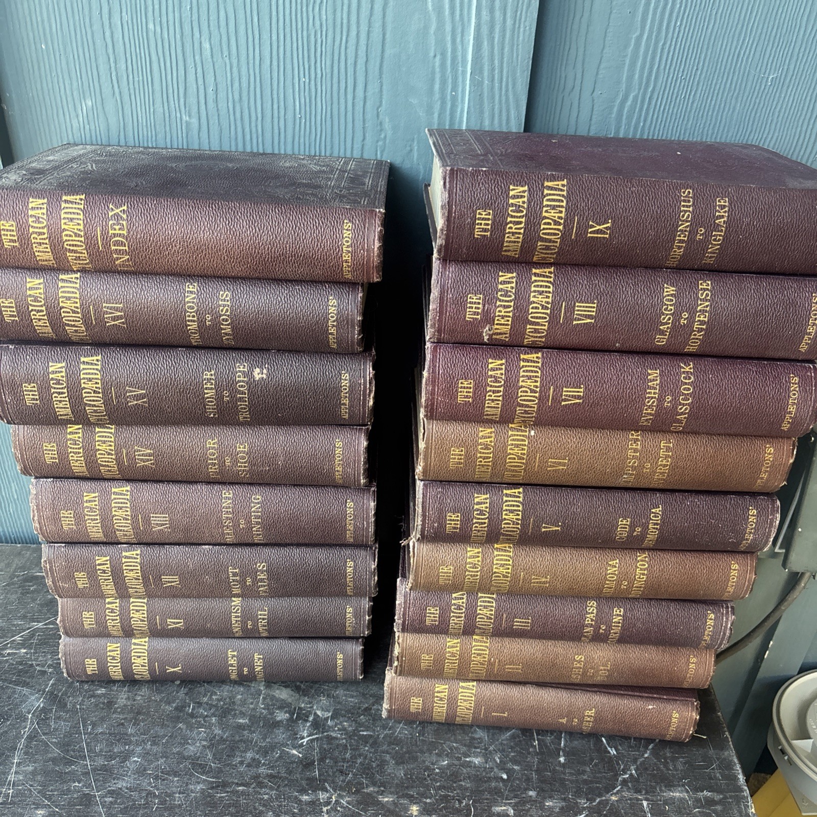 Appleton The American Cyclopedia, Complete 1-16 + Index Volume Set, 1883