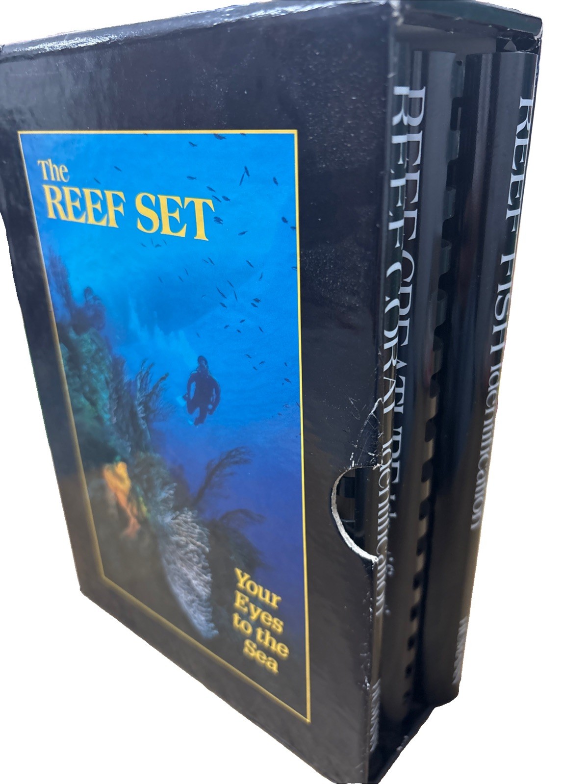 Reef Set : Your Eyes to the Sea by Paul Humann and Ned DeLoach (2002)
