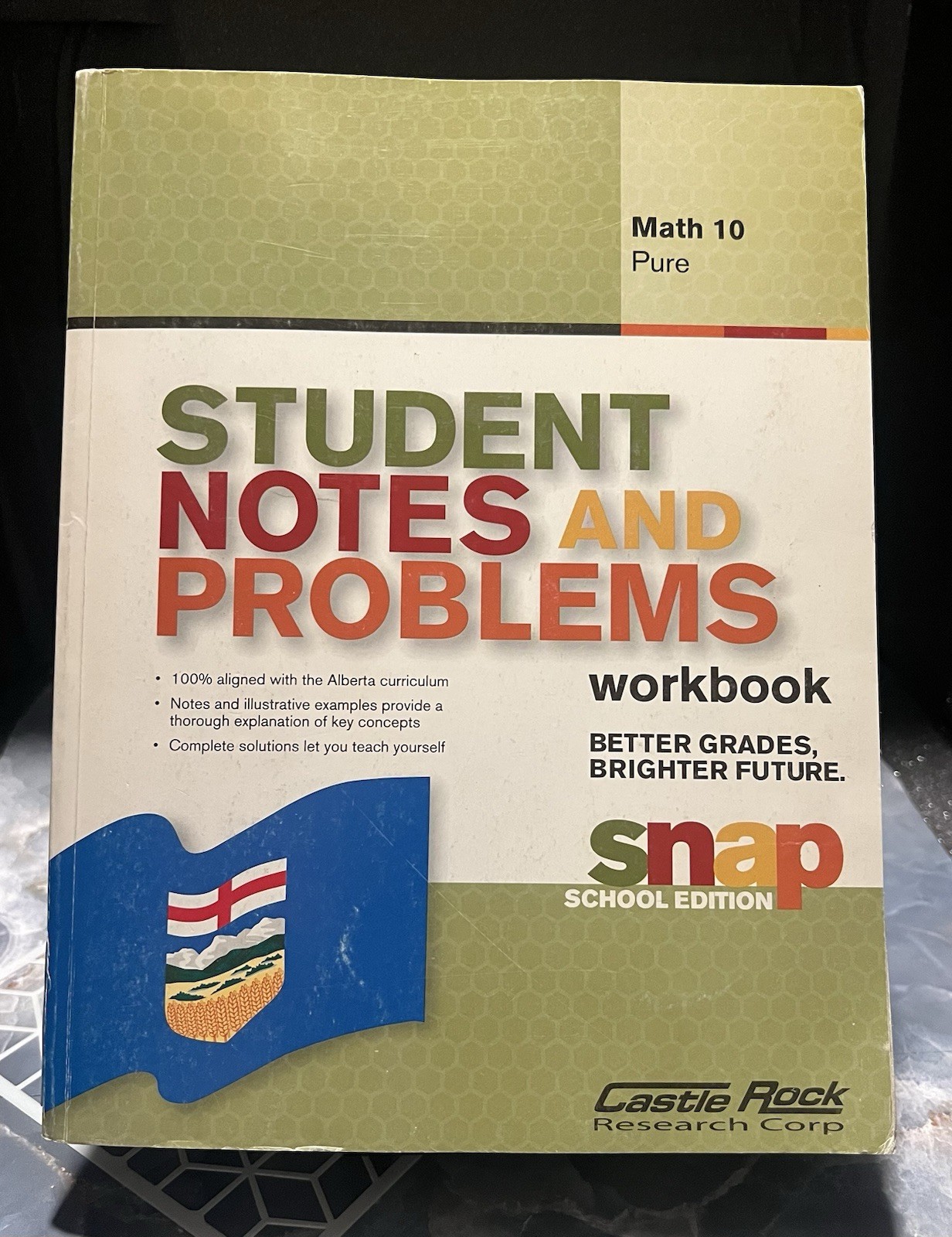 STUDENT NOTES AND PROBLEMS MATH 10 PURE By Gautam Rao **BRAND NEW**