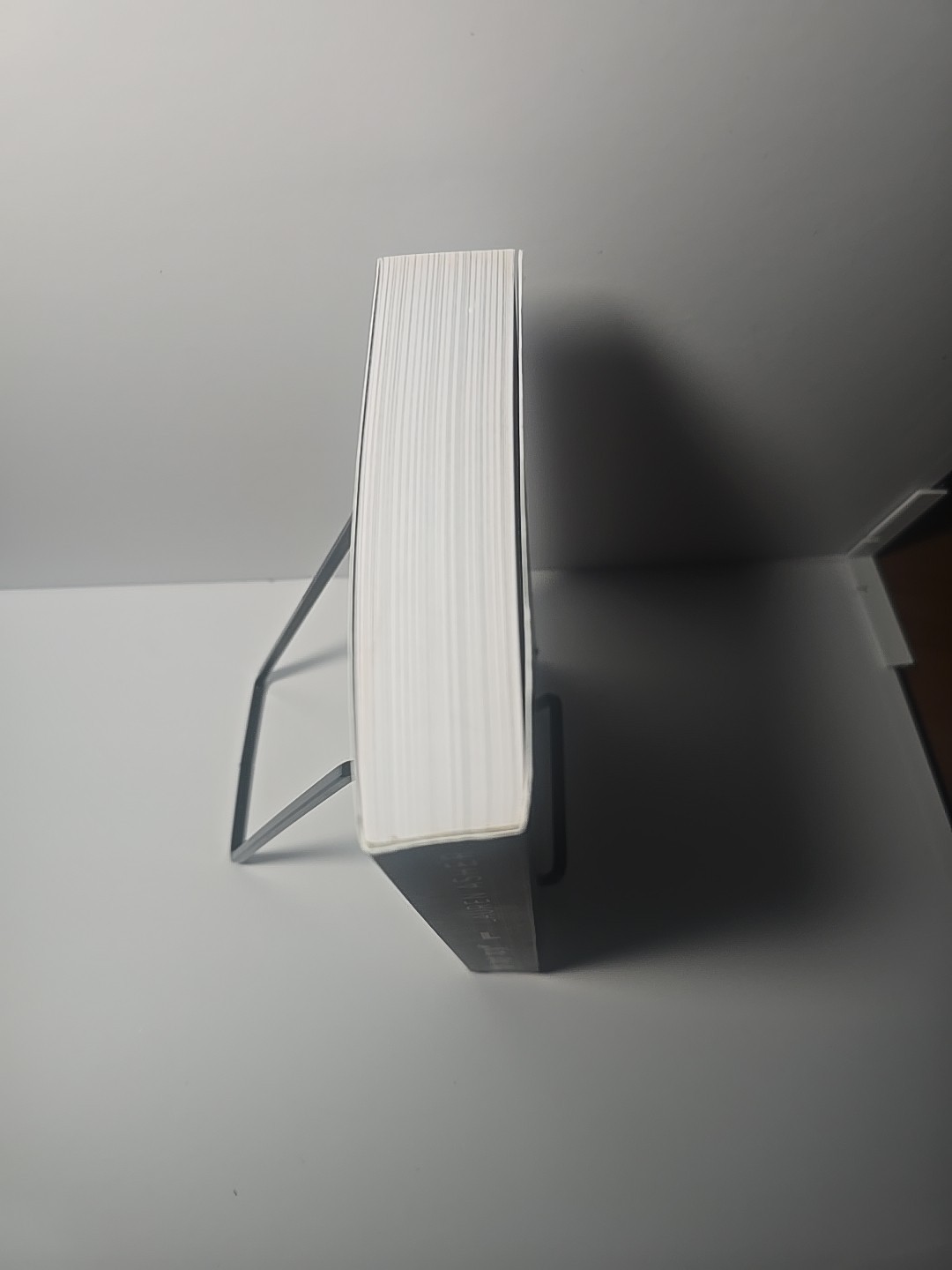 The Fine Print by Lauren Asher First Edition OOP Softcover