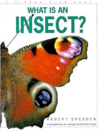 What Is an Insect by Robert Snedden
