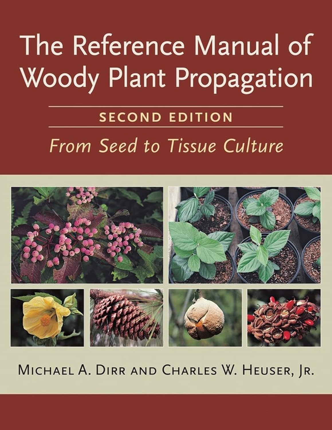 Reference Manual of Woody Plant Propagation Paperback by Michael A. Dirr