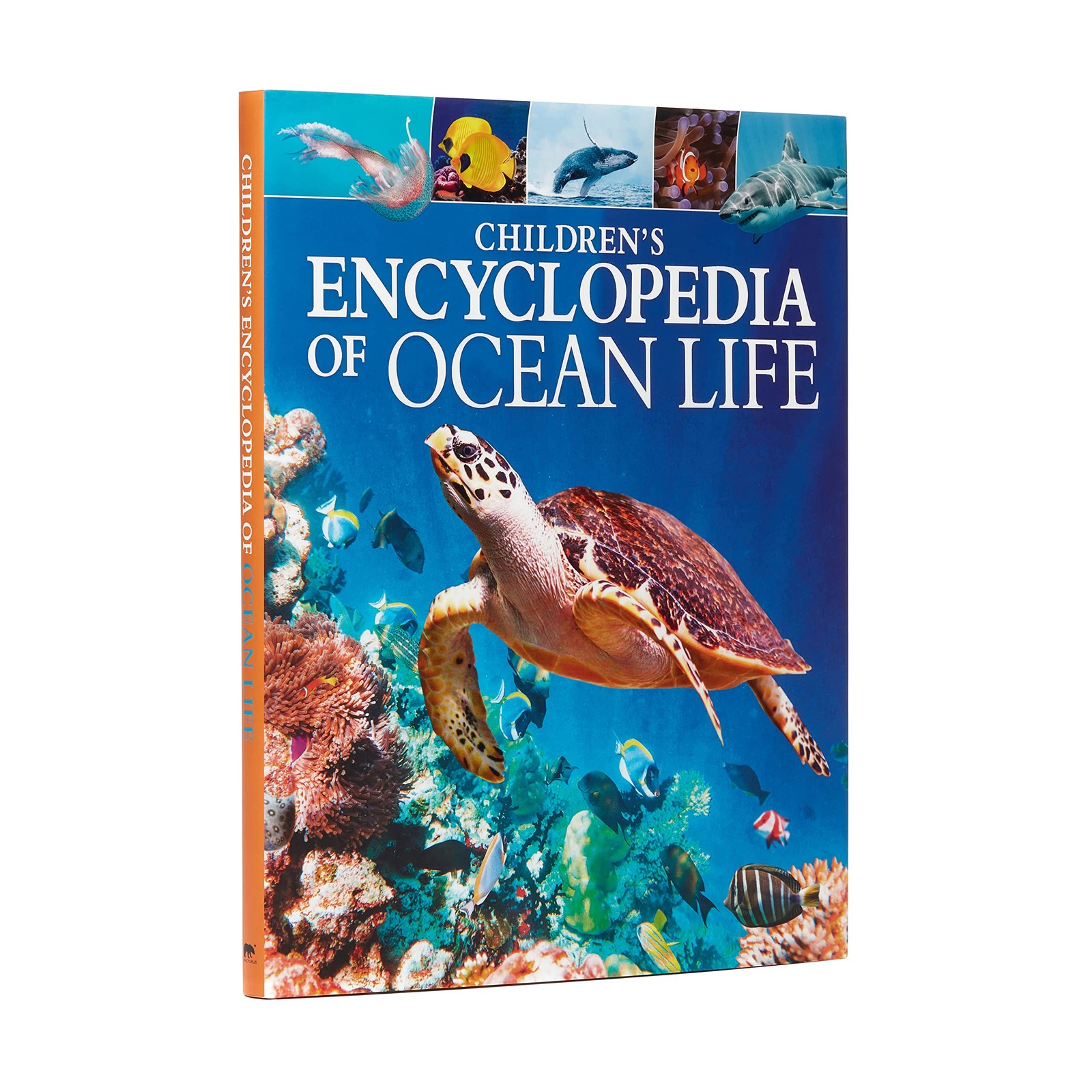 Children’s Encyclopedia of Ocean Life: A Deep Dive into Our World’s Oceans (…