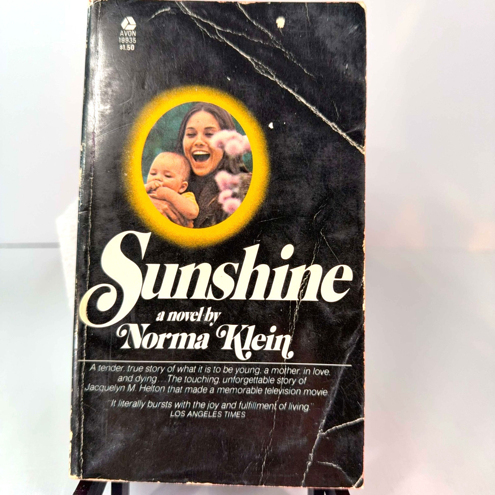 Vintage Sunshine Norma Klein 1974 Avon Paperback Drama Romance Book