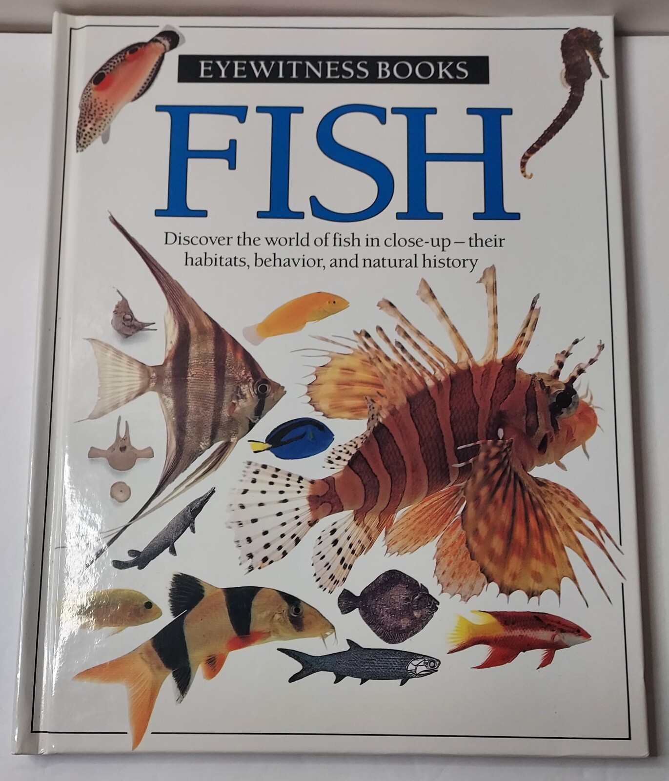 Vtg Eyewitness Bks. Fish by Steve Parker and Dorling Kindersley Publishing Staff