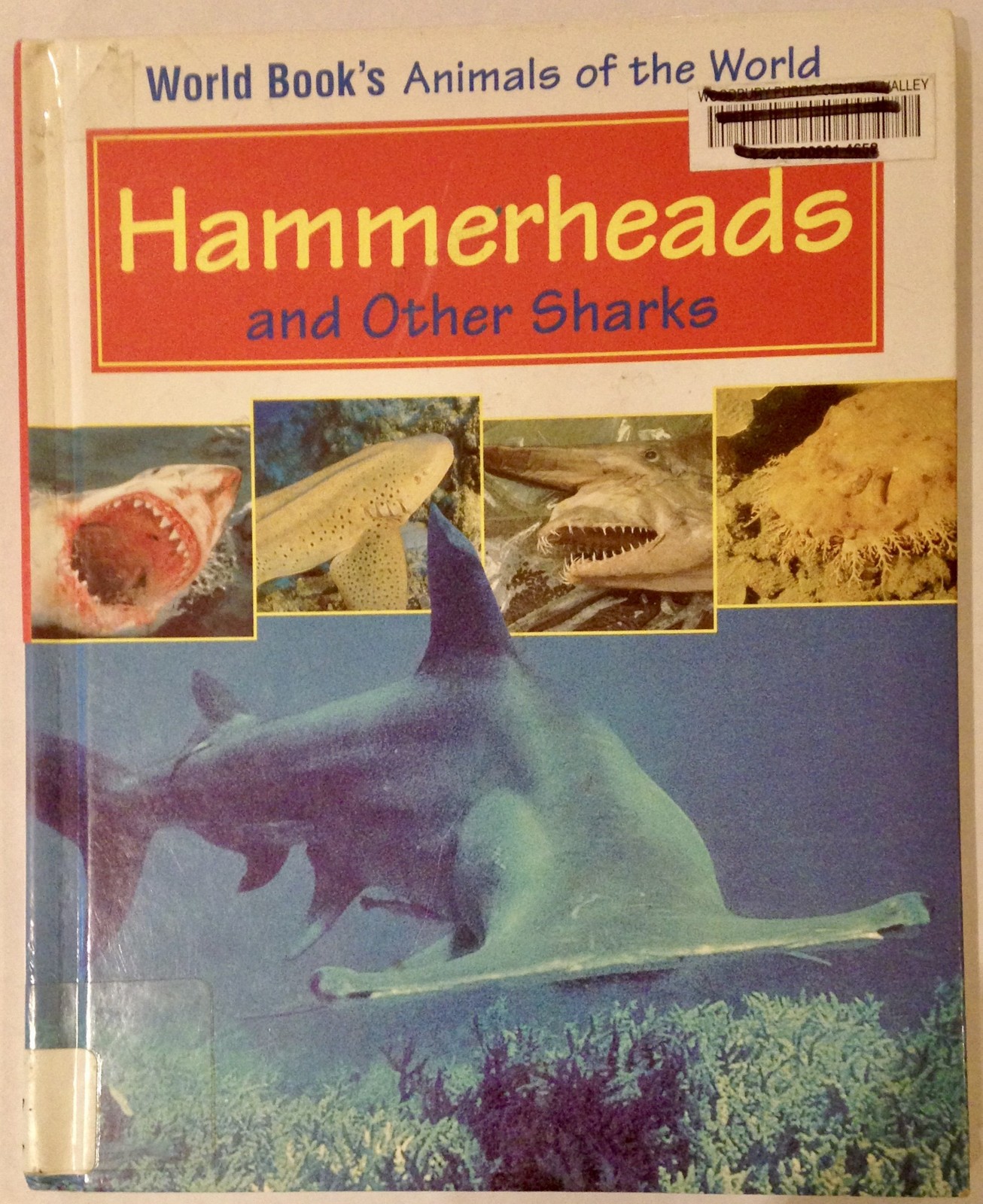 Hammerheads and Other Sharks: Book Author, Steven Otfinoski (World Book’s An…
