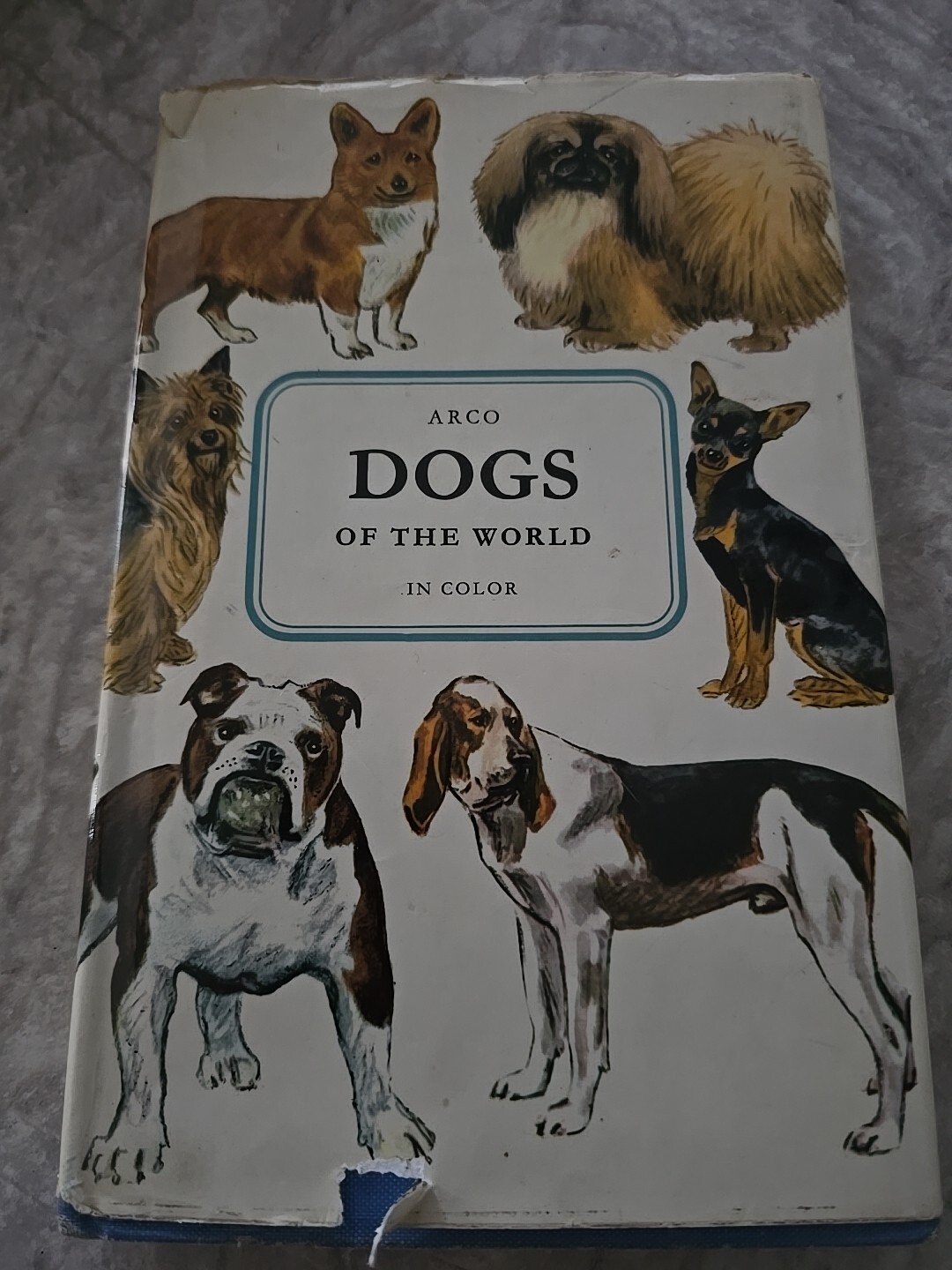 DOGS OF THE WORLD;: IN COLOR By Ivan Swedrup – Hardcover