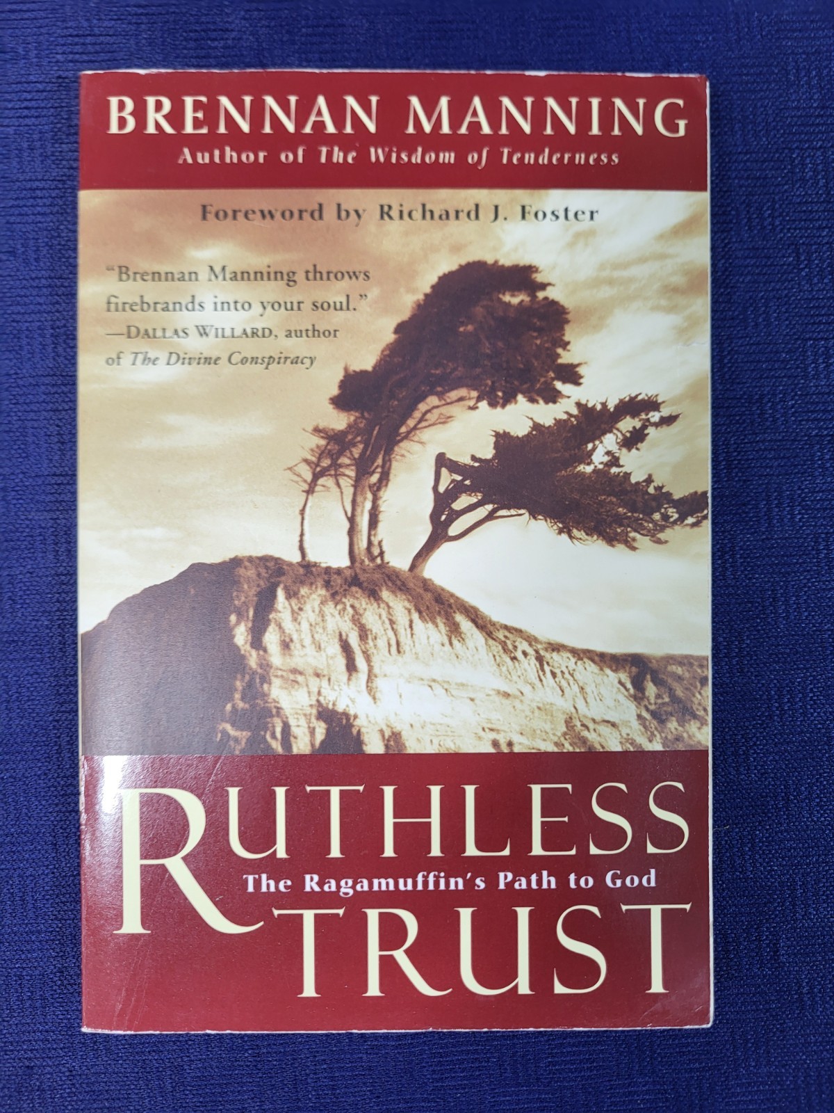 Ruthless Trust: The Ragamuffin’s Path to God by Manning, Brennan