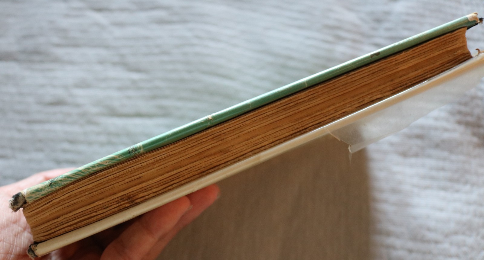 The Green Odyssey RARE hardback book 1957 Philip Jose Farmer