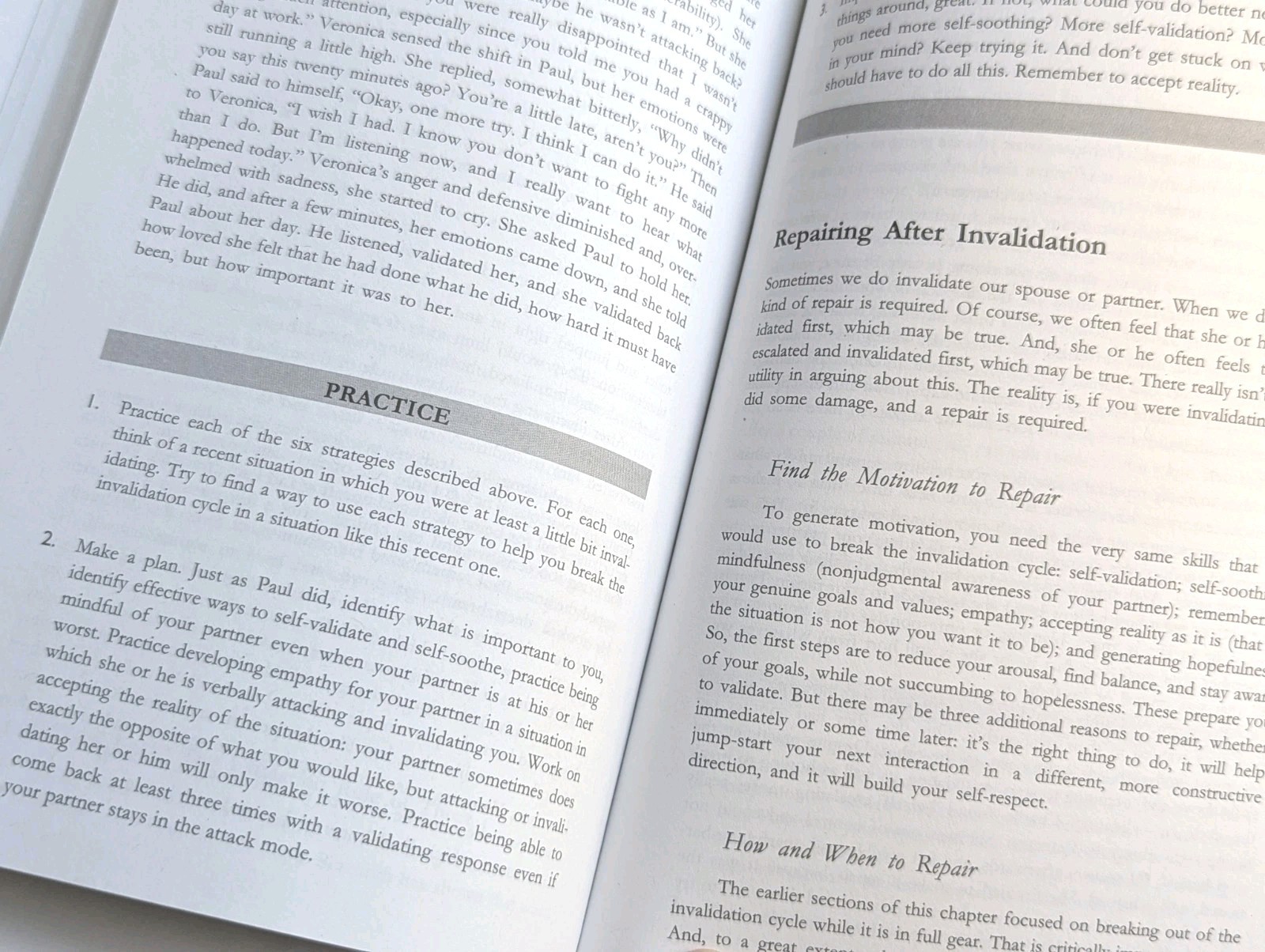 High-Conflict Couple: A Dialectical Behavior Therapy Guide PB Fruzzetti