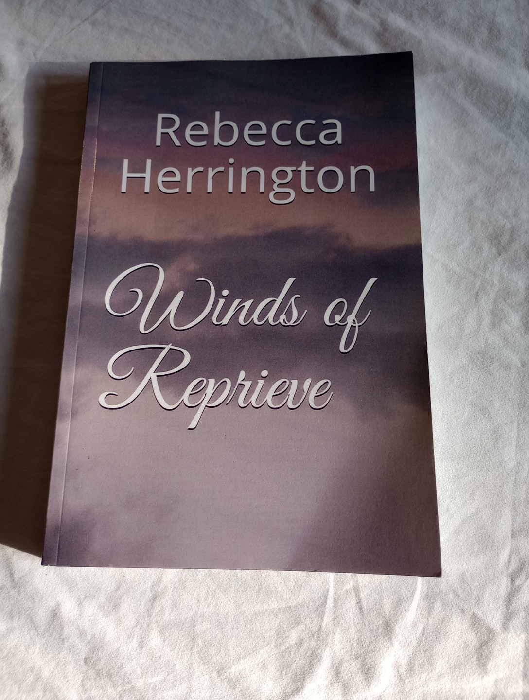 WINDS OF REPRIEVE (THE STORM SERIES) By Rebecca Herrington