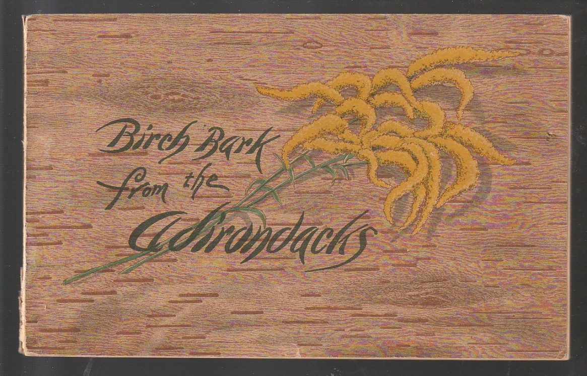 Birch Bark from the Adirondacks: From City to Trail by Frank Taylor 1888 76 Page