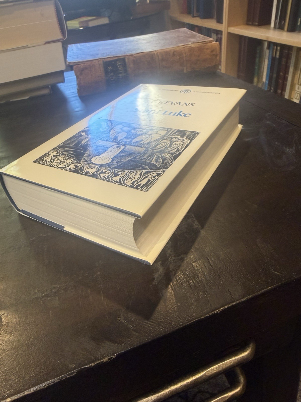 New Testament Commentary: Saint Luke by C. F. Evans HBDJ Nice