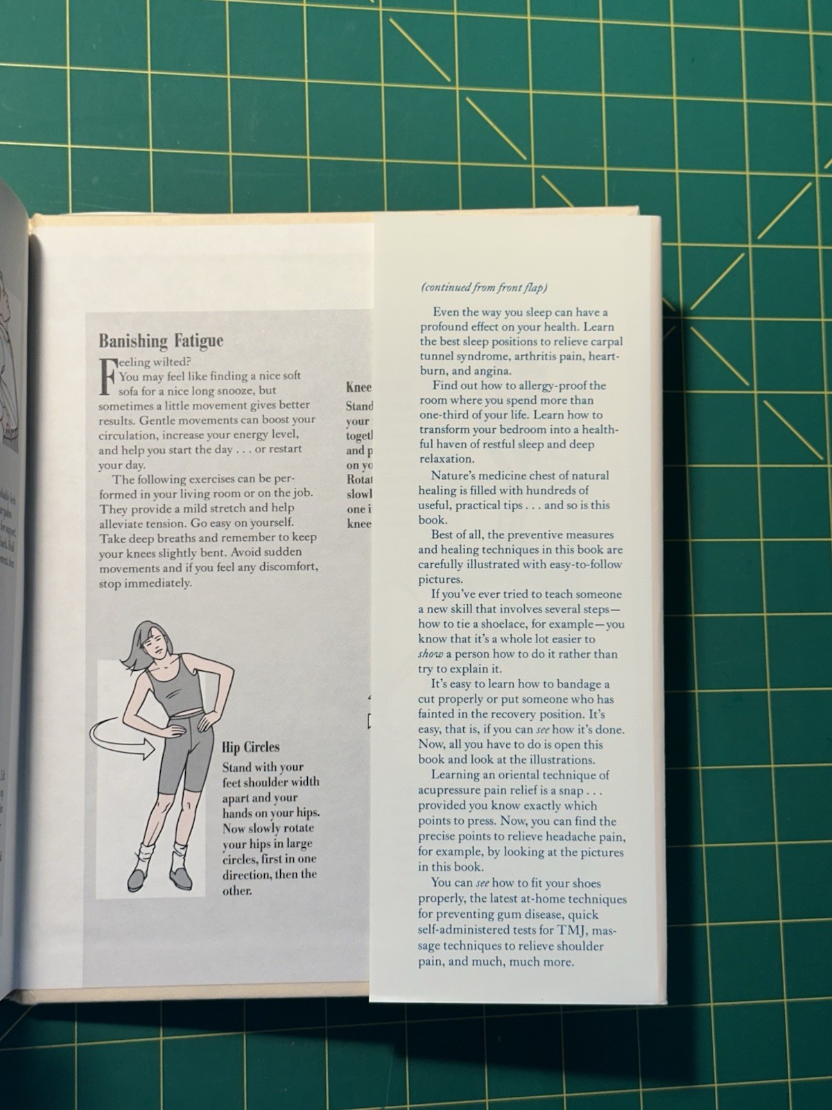 The Visual Encyclopedia of Natural Healing by Alice Feinstein