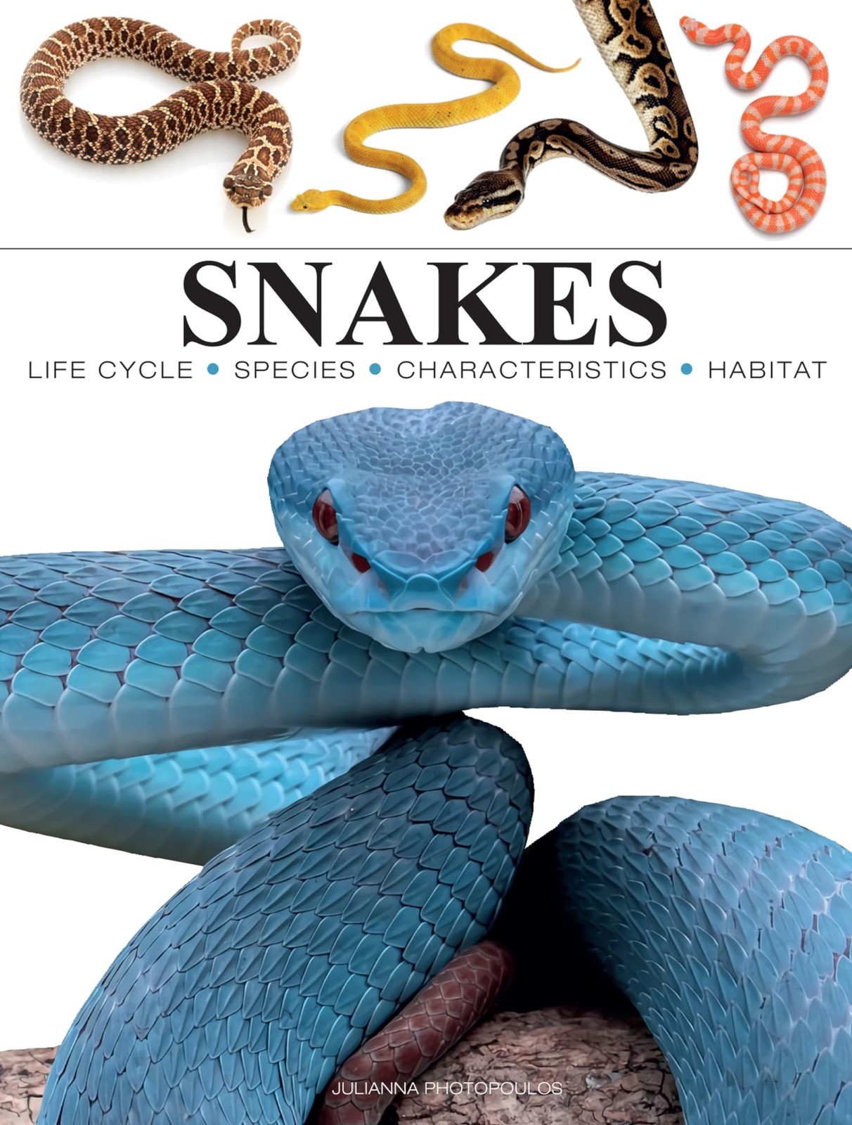 Snakes: From Vipers to Boa Constrictors (Mini Encyclopedias) – Photopoulos, …
