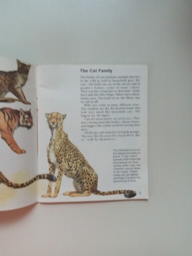 SCIMITAR NP Cats By Jill Hughes 1981 Paperback