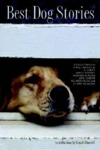 Best Dog Stories – Hardcover By OMara, Lesley – GOOD