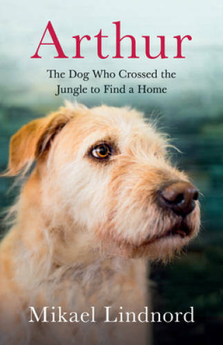 Arthur: The Dog who Crossed the Jungle to Find a Home – Paperback – GOOD