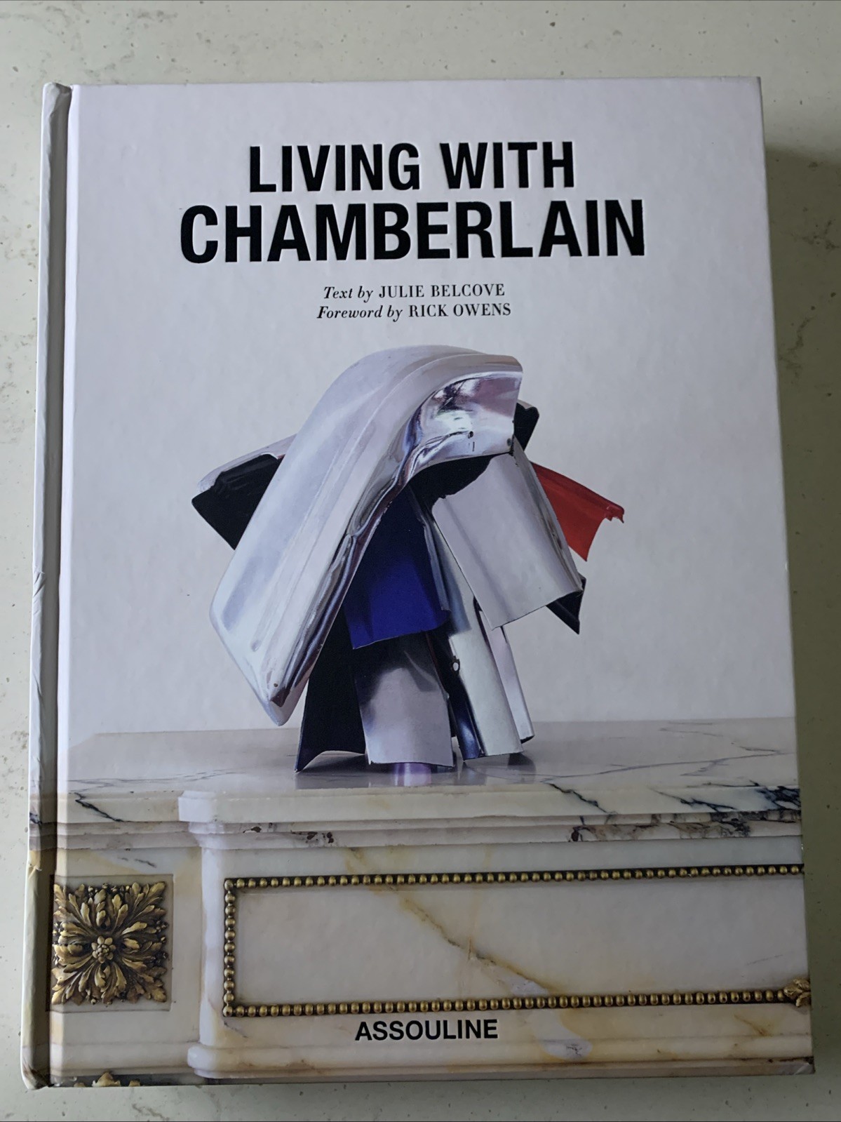 Living with Chamberlain, NEW Hard Back Book, 279 Pages NWT