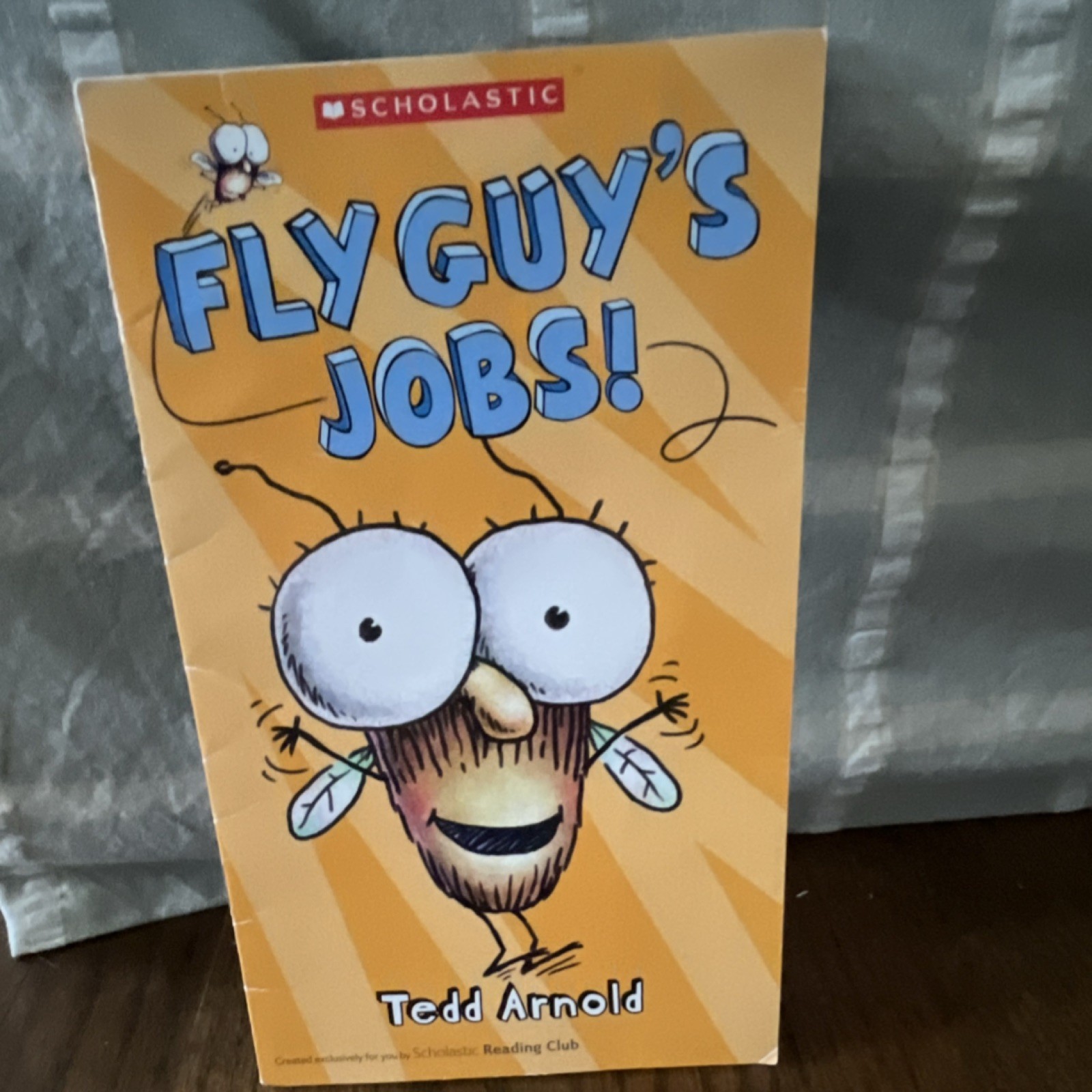 Fly Guy’s Jobs! Fly Guy by Tedd Arnold Scholastic English Illustrated Paperback