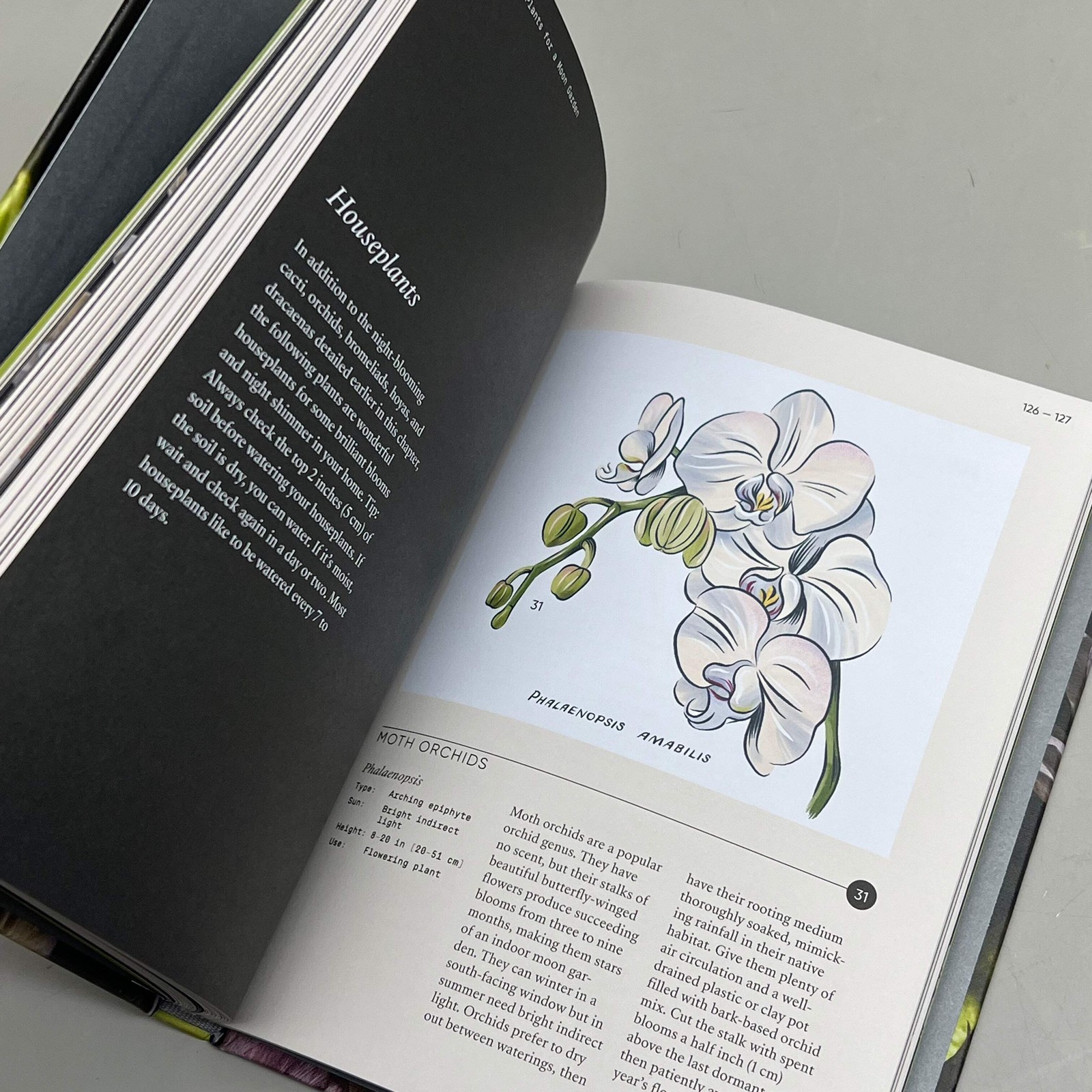 MOON GARDEN By Jarema Osofky Guide To Creating An Evening Oasis Hardcover Book