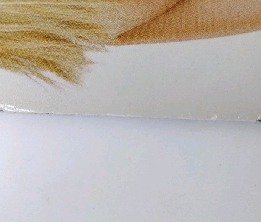 Playboy Ultimate Nudes Uncensored 2010 Supplement