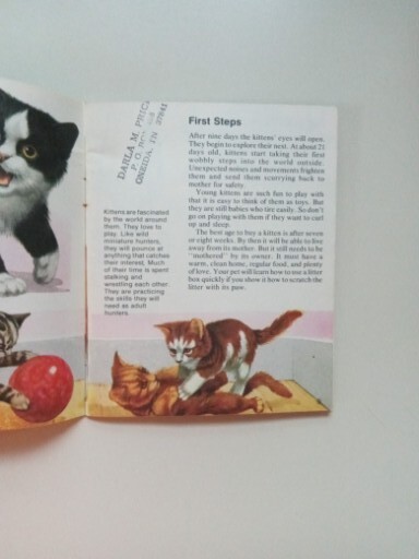 SCIMITAR NP Cats By Jill Hughes 1981 Paperback