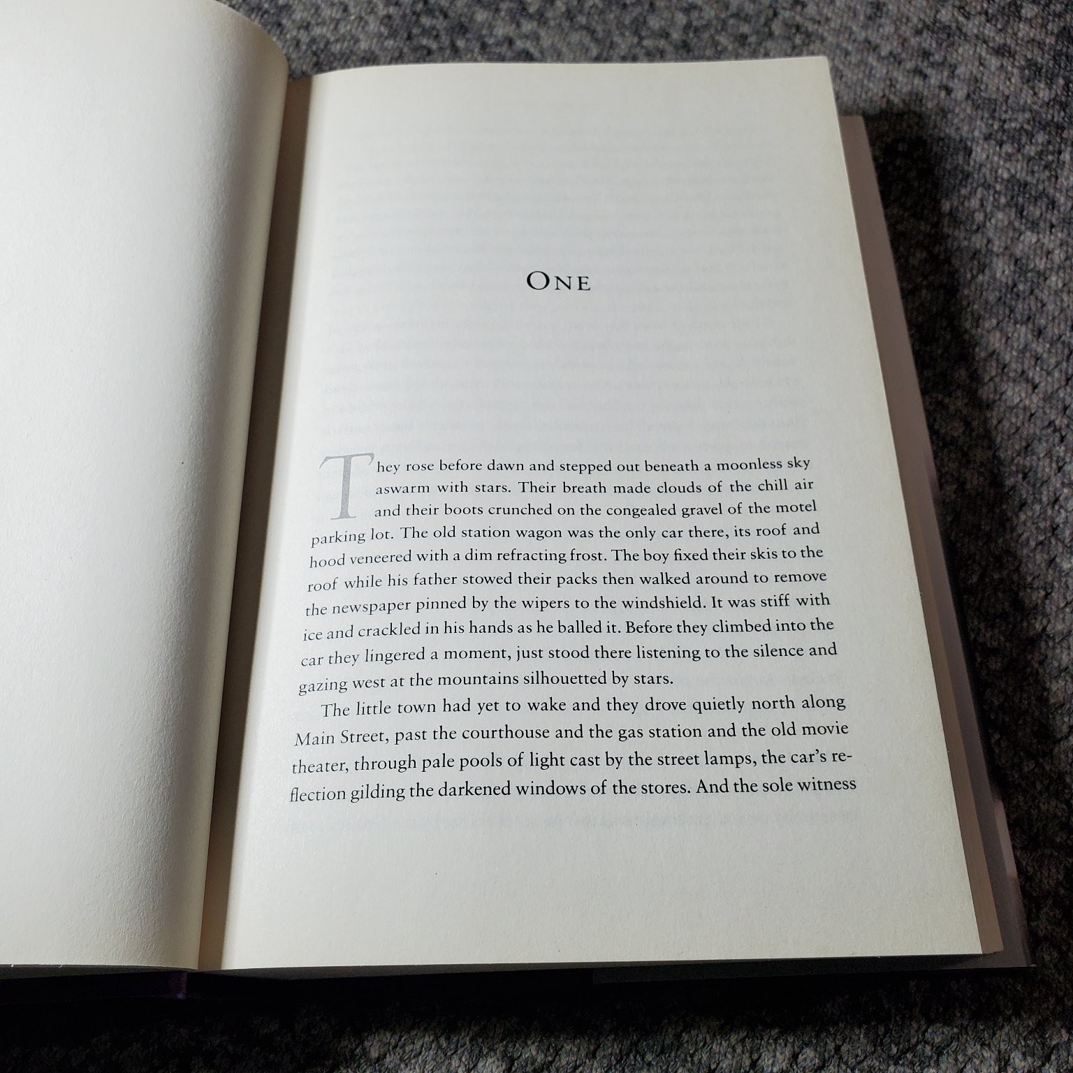 The Divide Nicholas Evans 2005 First Edition Novel Thriller Putnam