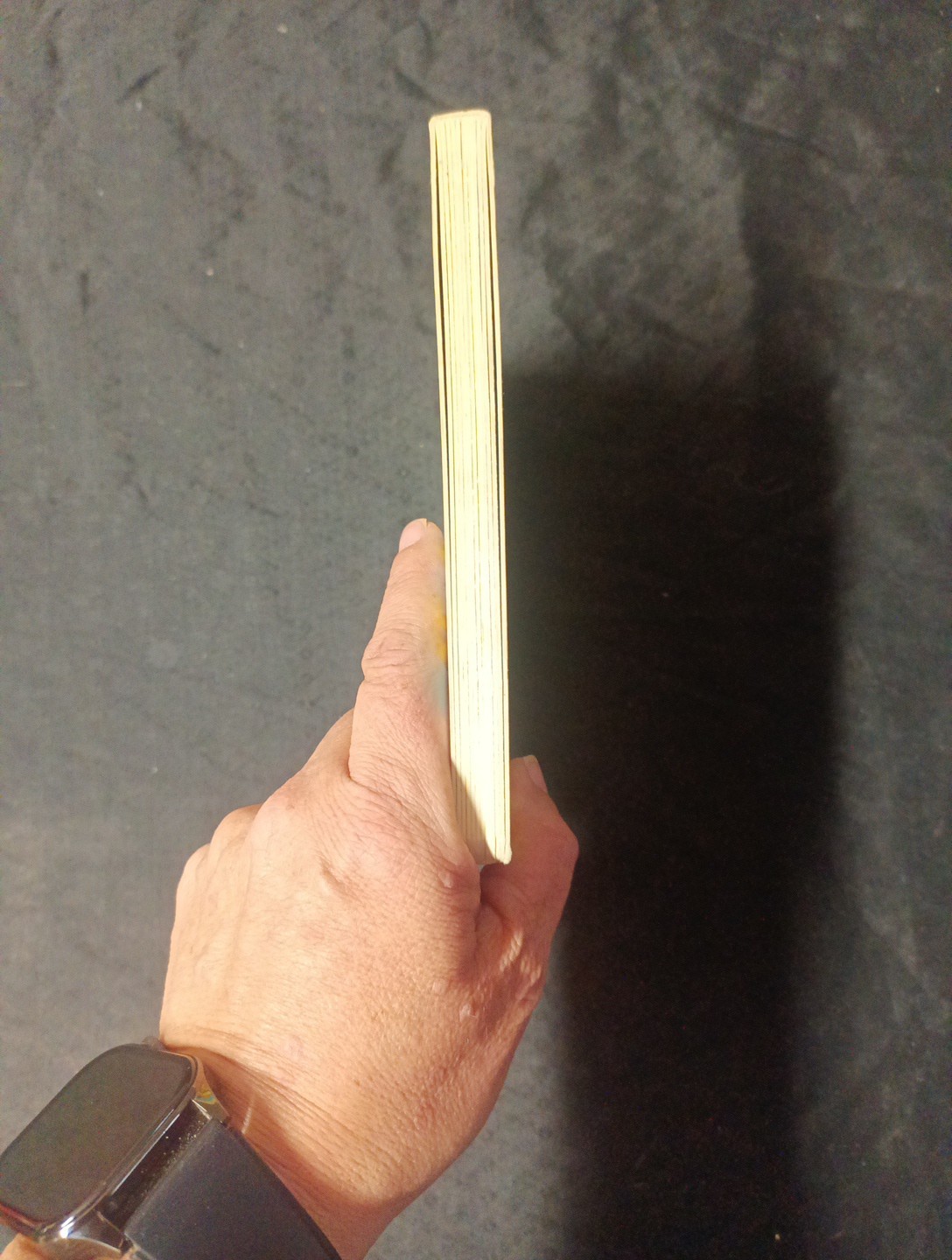Everything Goes: What Flies in the Air? by Brian Biggs (2013, Children’s…