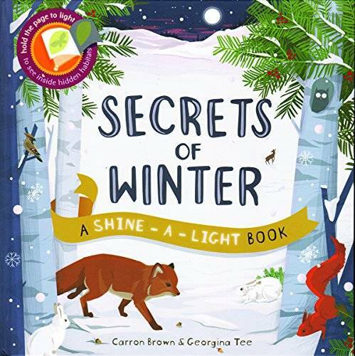 Secrets of Winter Secrets (A Shine-A-Light Book ) – Hardcover – GOOD
