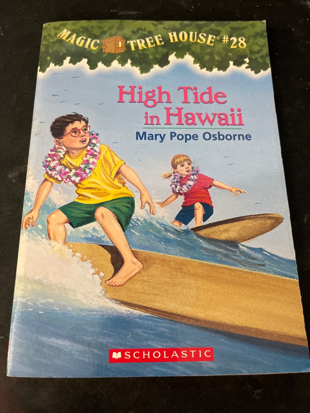 High Tide in Hawaii by Mary Pope Osborne (2003, Library Binding)