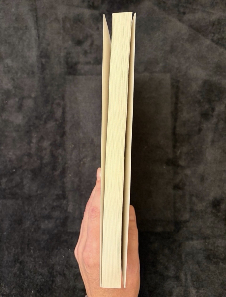 The Demonic Bible By Tsirk Susej 2005 Embassy Of Lucifer Satanism