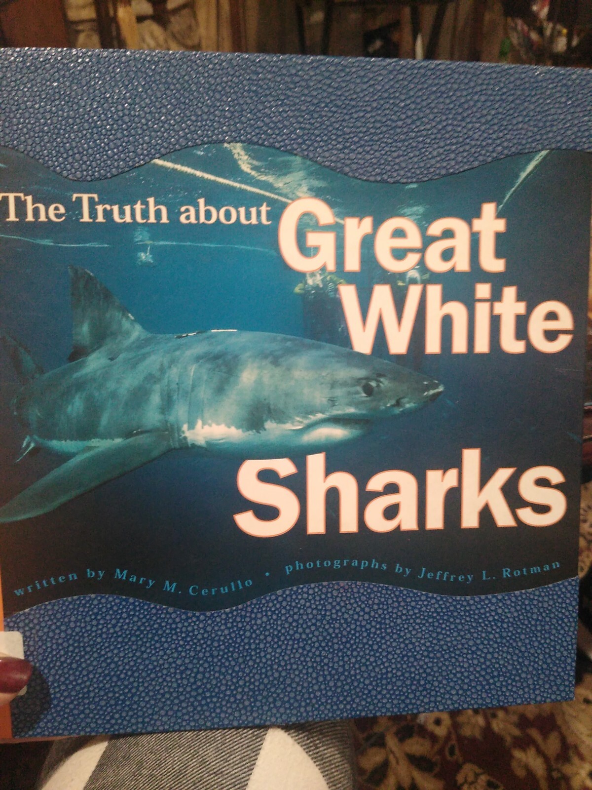 The Truth about Great White Sharks by Cerullo, Mary M. Kb11