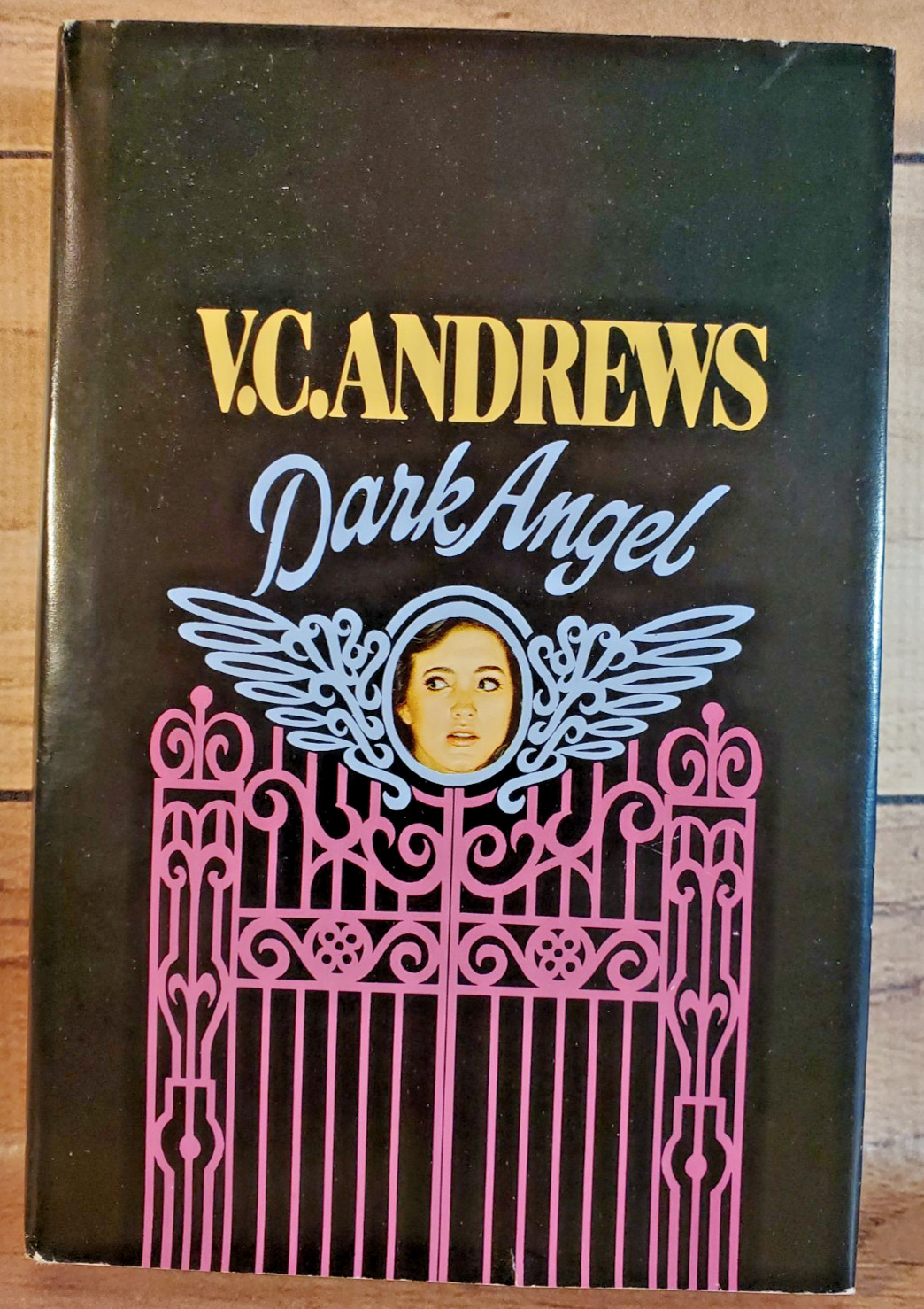 Dark Angel VC Andrews Hardcover DJ 1986 Heaven Casteel Family Series 1st/1st VG