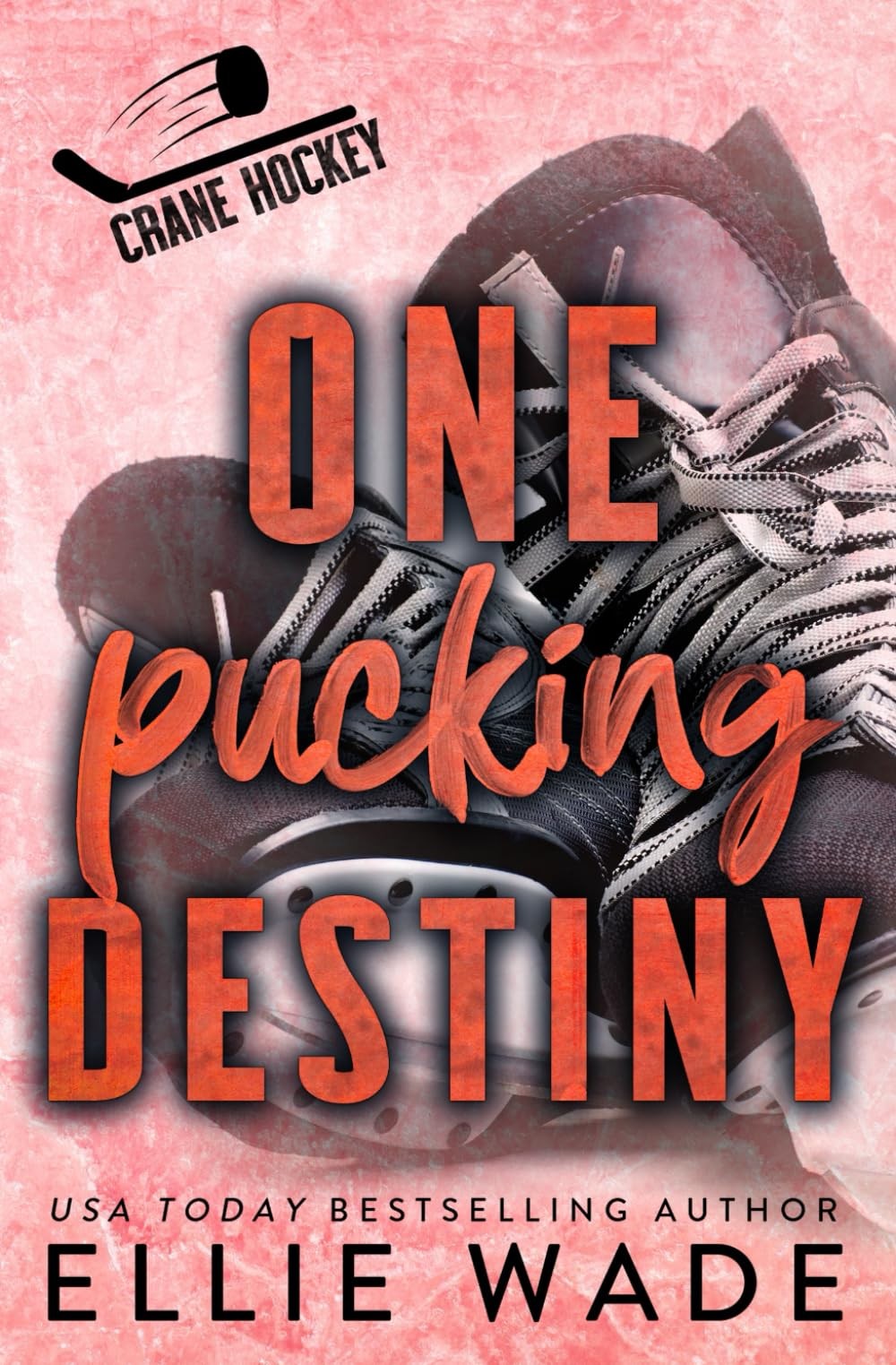 One Pucking Destiny: A Forbidden Love, Secret Relationship Hockey Romance (C…