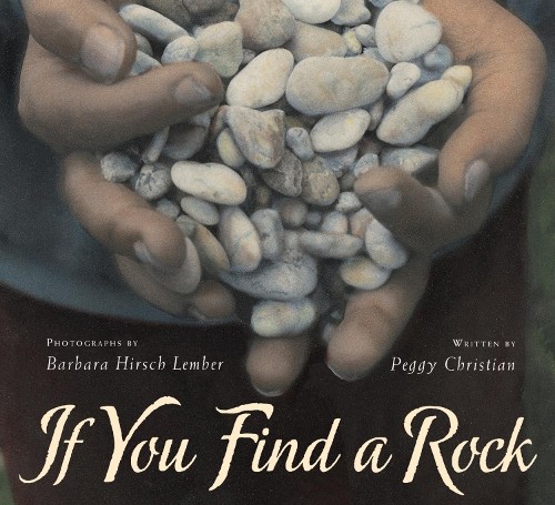 Peggy Christian If You Find a Rock (Paperback)