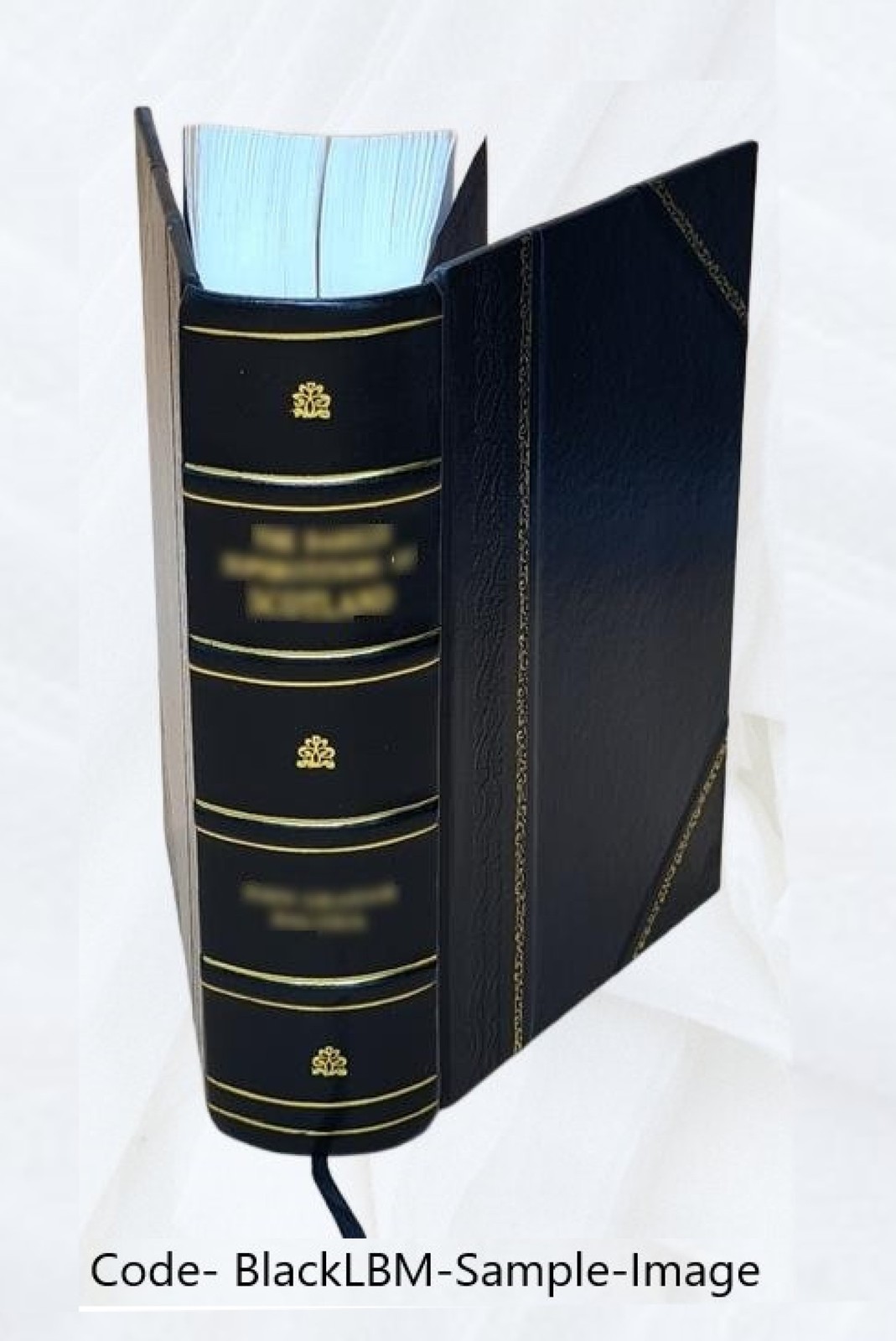 A Chinese biographical dictionary; 1898 by Herbert Allen Giles [Leather Bound]